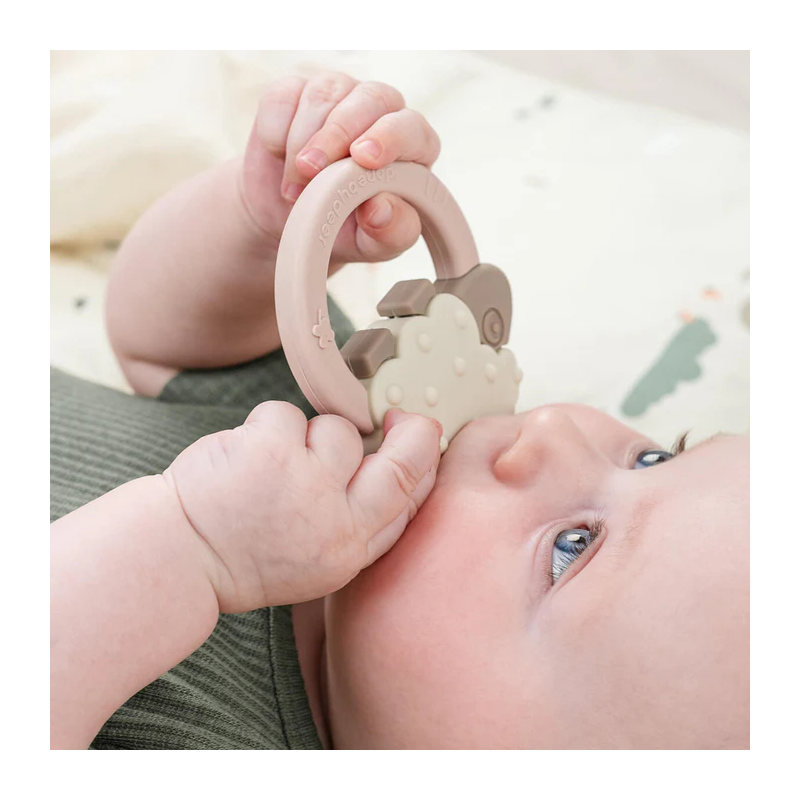 Poudre de mouton pour anneau de dentition -  - un24septembre