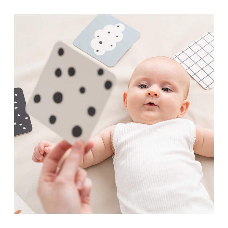 Lot de 10 cartes contrastées bébé Cerf -  - un24septembre