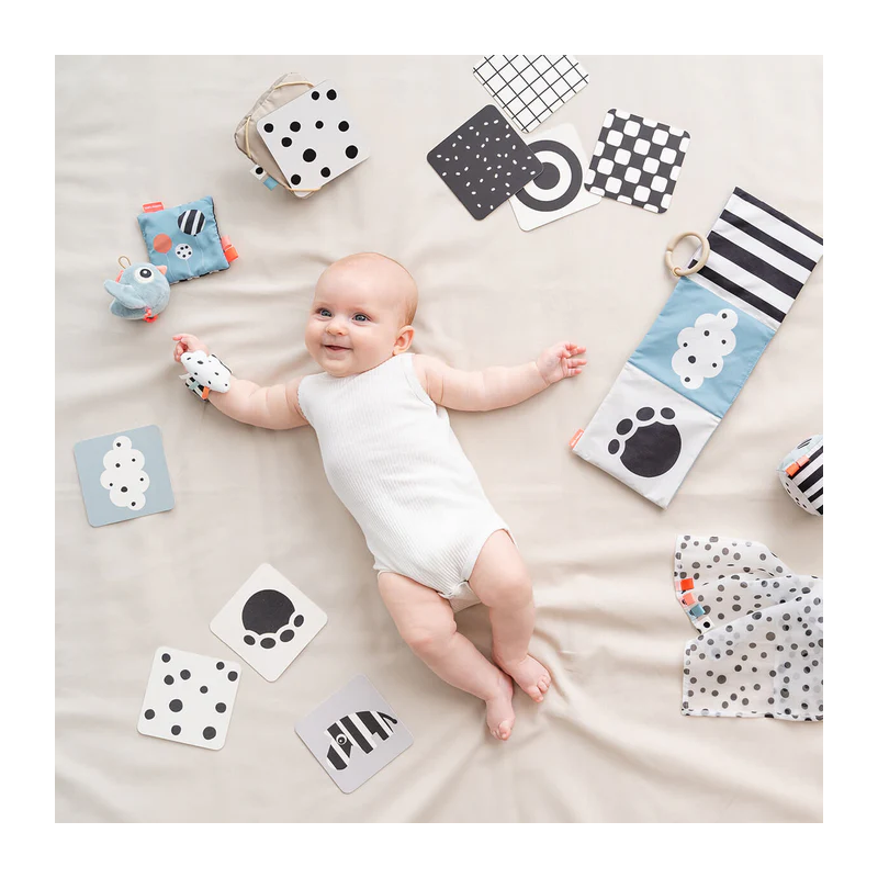 Lot de 10 cartes contrastées bébé Cerf -  - un24septembre