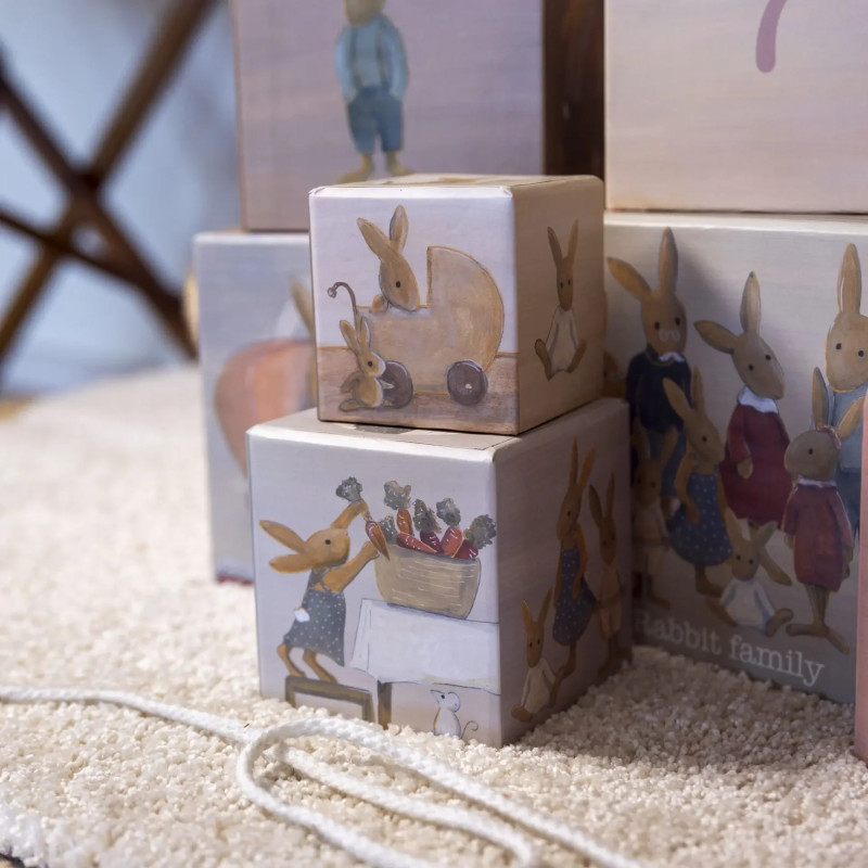 PYRAMIDE 123 FAMILLE LAPIN - Egmont Toys