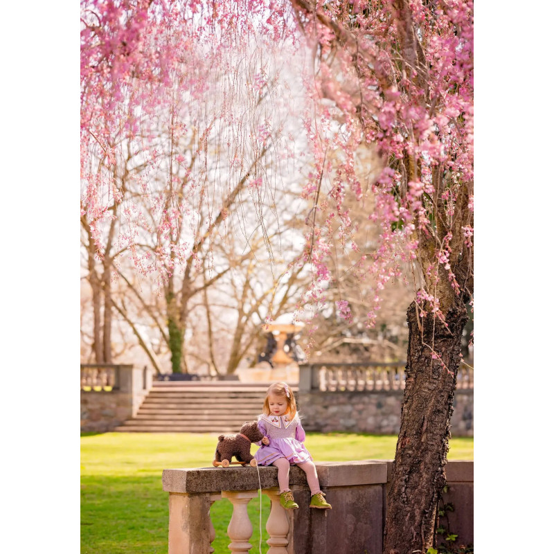 RAOUL A TIRER - Egmont Toys