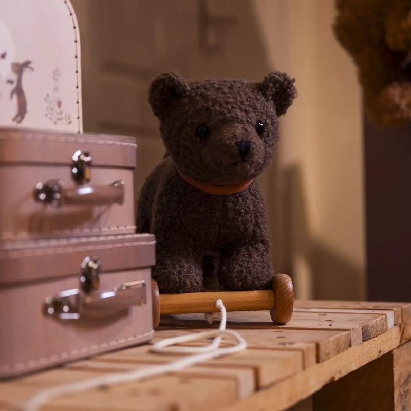 RAOUL A TIRER - Egmont Toys