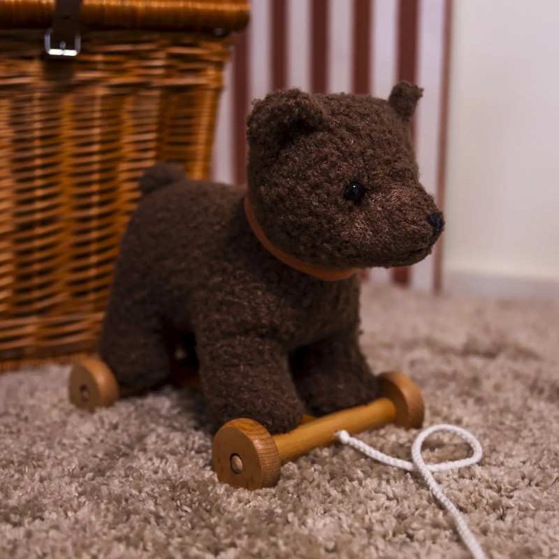 RAOUL A TIRER - Egmont Toys